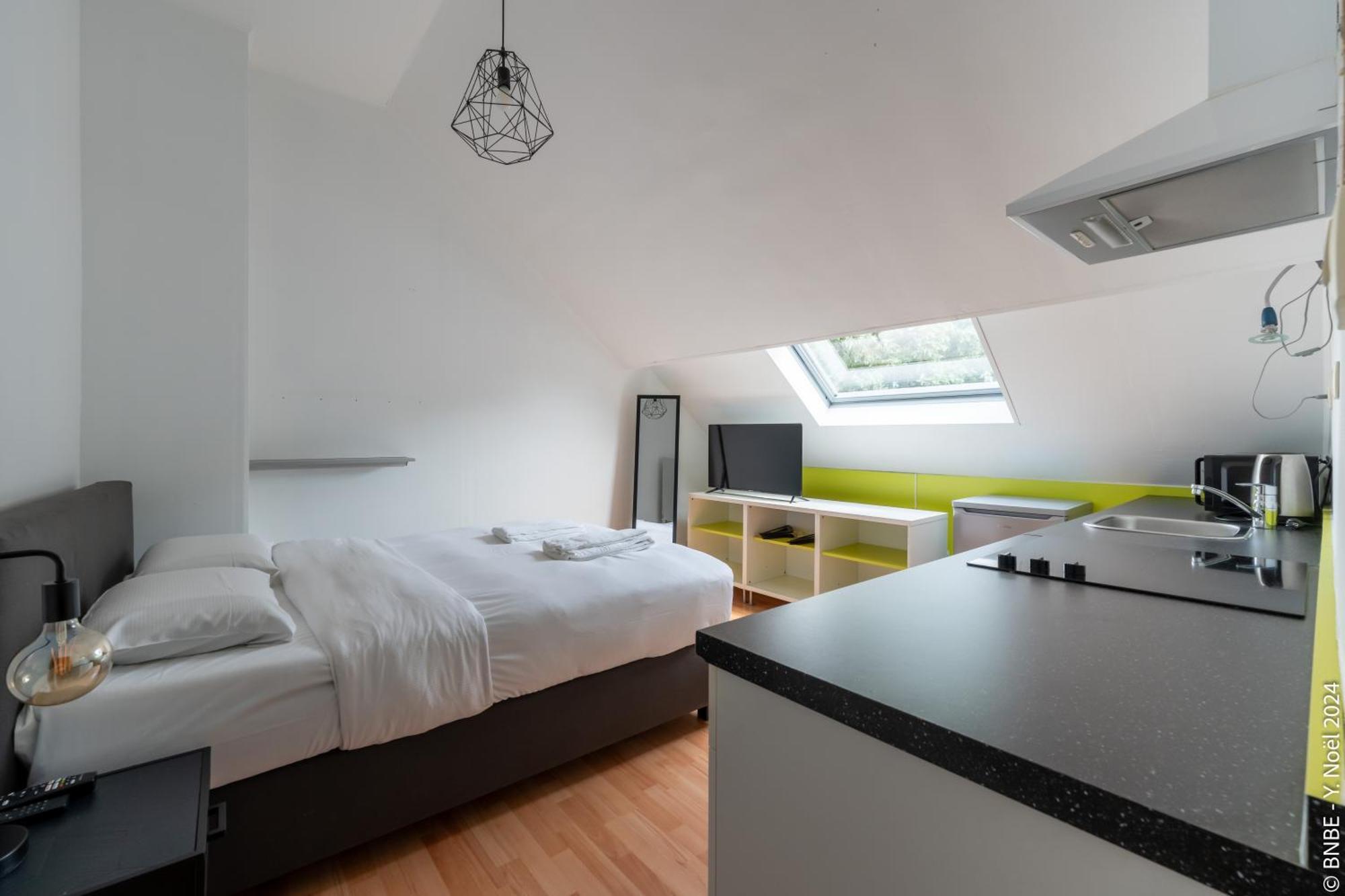 La Louve - Big Place & Garden - Parking Gratuit Brussels Exterior photo